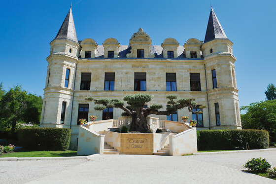 Château Camiac - photo 19