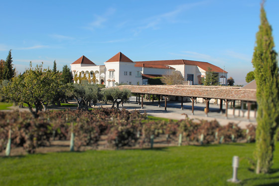 BODEGAS Y VIÑEDOS CASA DEL VALLE - photo 16