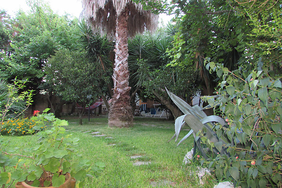 Masseria Le Chianche - photo 6