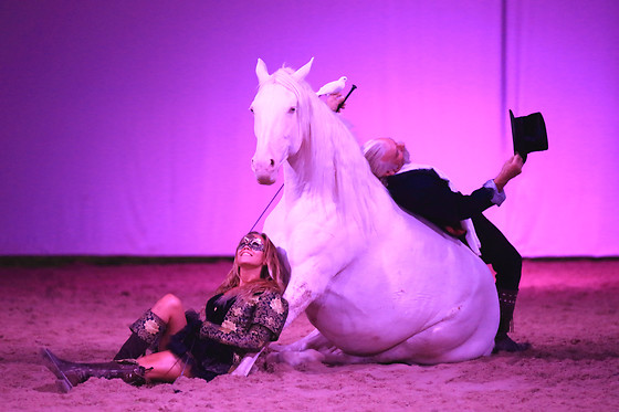 Zagal Cabaret - photo 2