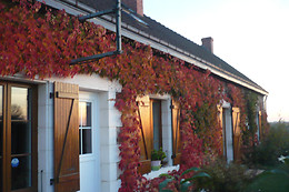 Chambres d'hôtes et gîte Anne Marie