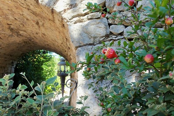 Chambres et Jardin de Pierres - photo 7