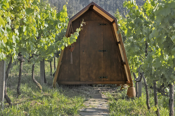 CIMO DA VINHA Nature Spot - photo 7