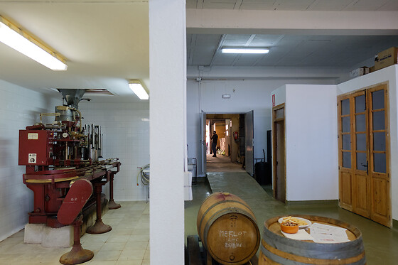 CELLERS BLANCH - photo 1