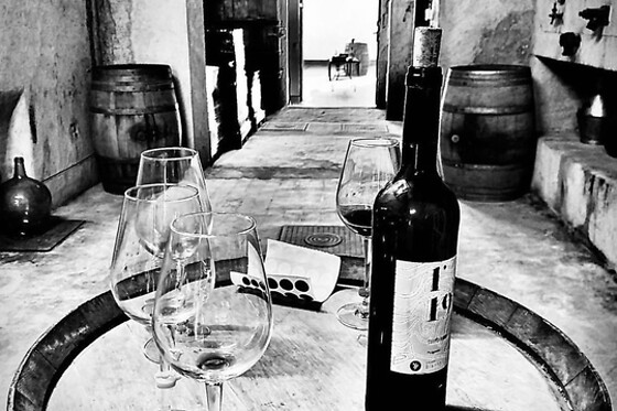 CELLERS BLANCH - photo 5