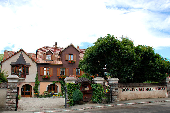 Séjour 2 nuits pour 2 au Domaine des Marronniers à Andlau (67)