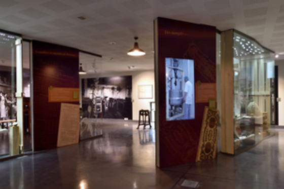 Calissons du Roy René - photo 3