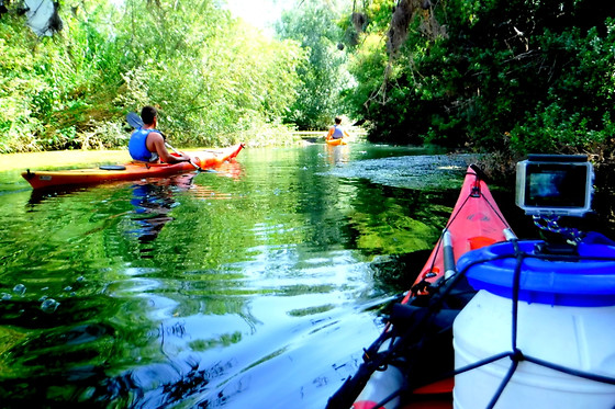 PARC D'AVENTURA I NATURA DELTAVENTUR - photo 6