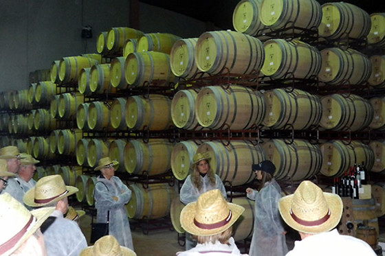 BODEGAS BOCOPA - photo 3