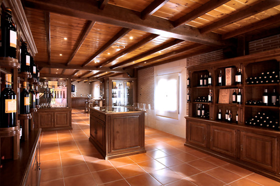 BODEGA FINCA VILLACRECES & BODEGA IZADI - photo 3