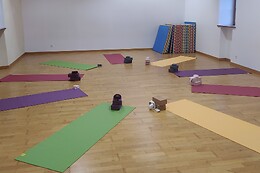 Anandoham - Yoga, Shiatsu & Accompagnement au Mieux-être