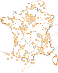Vol en montgolfière et activités dans les airs