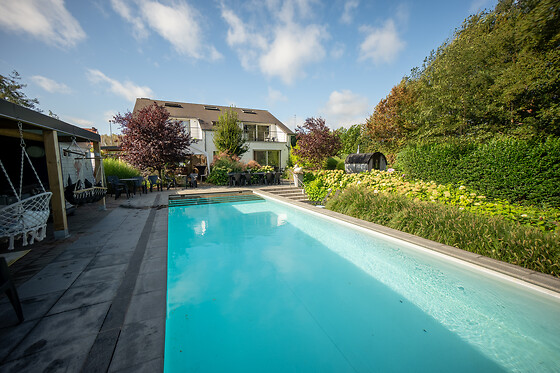 De Witte Merel & Hotel at home - photo 6