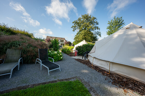 De Witte Merel & Hotel at home - photo 9
