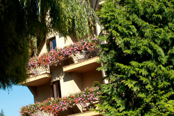 Hostellerie du Rosenmeer - photo 8