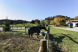 Domaine de la Trille