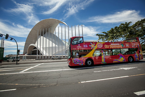 CITY SIGHTSEEING SANTA CRUZ DE TENERIFE - photo 7