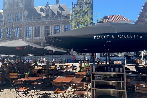 Poule & Poulette Gent (KM11) - photo 0