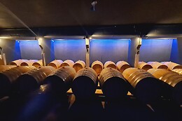 Château Enclos Haut Mazeyres