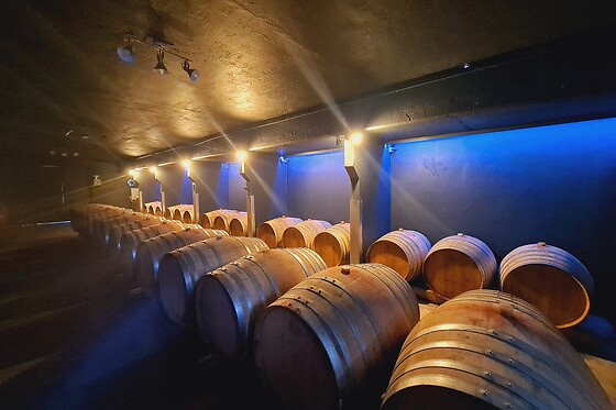 Château Enclos Haut Mazeyres - photo 8