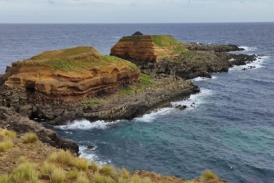 Azores Nature Tours - photo 0