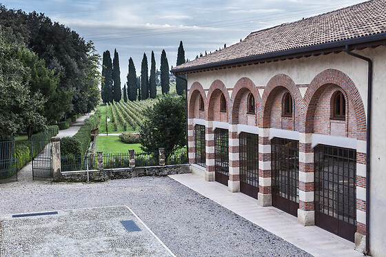 Tenute SalvaTerra - photo 1