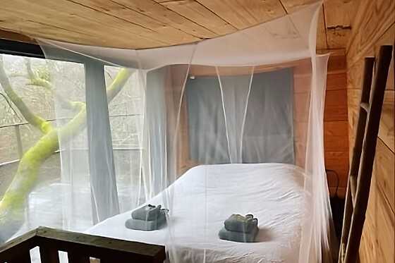 Aux enfants de la terre - photo 1