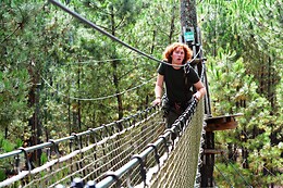 Parc de l'aventure