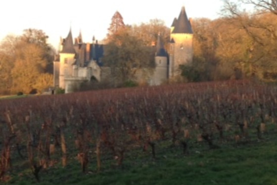 Le Clos de Caramélia - photo 9