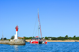 Balade en catamaran - Inter Iles Catamarans - La Rochelle (17)