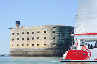 Balade en catamaran - Inter Iles Catamarans - La Rochelle (17)