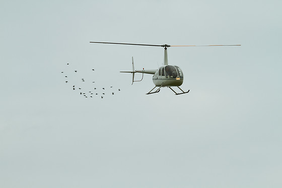 Helicosun - photo 2