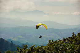 PARAPENTALIA