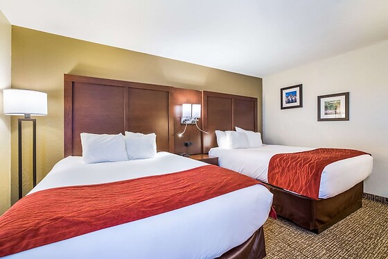 Online Booking EPS - photo 10
