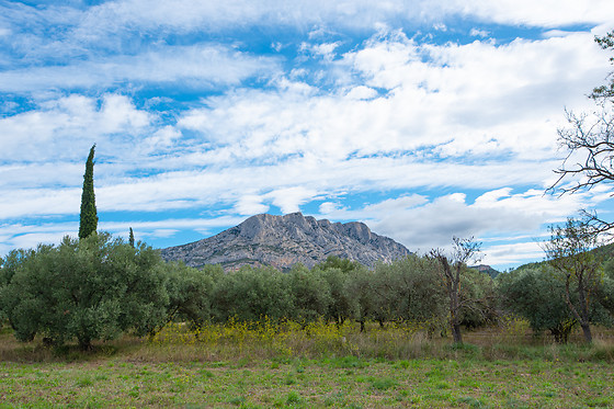 Zenitude- Aix-en-Provence - Le Tholonet - photo 13
