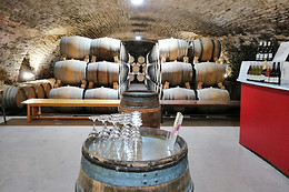 Château de la Greffière