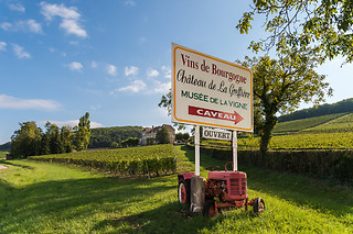 Visites et dégustation de vin pour deux au Château de la Greffière à La Roche-Vineuse (71)