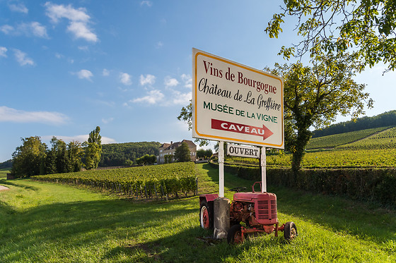 Visites et dégustation de vin pour deux au Château de la Greffière à La Roche-Vineuse (71)