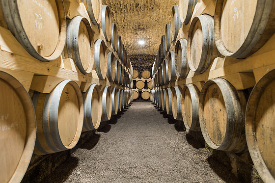 Visites et dégustation de vin pour deux au Château de la Greffière à La Roche-Vineuse (71)