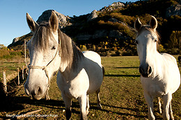 CASA RURAL ENTRE VALLES
