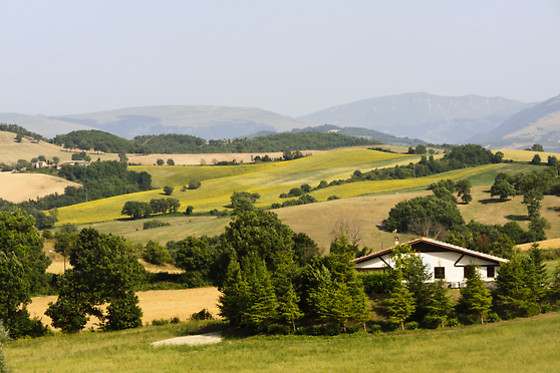 Agriturismo Torre Quadrana - photo 0