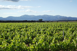 BODEGA VILLA D'ORTA