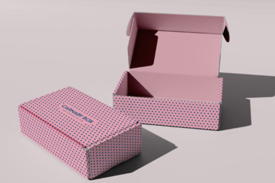 CARNABY BOX - photo 3