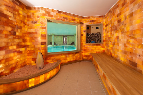 Hôtel du Parc*** Welness & Spa - Restaurant L'Alexain - photo 17