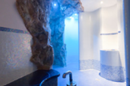 Hôtel du Parc*** Welness & Spa - Restaurant L'Alexain