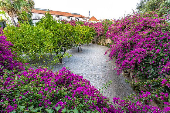 HOTEL SÃO JOÃO DE DEUS - photo 17