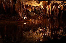 ALMA GAIA LA CASA DE LA LUZ