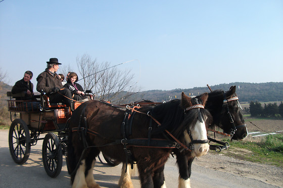 Poney  Express Attelage - photo 0
