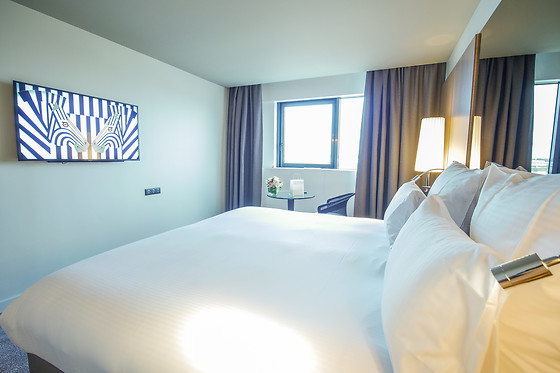 Hôtel Pullman Bordeaux Lac - photo 6
