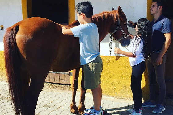 Quinta da Coragem - photo 6